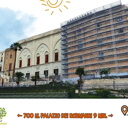 Orange Lemon Center Palermo-3